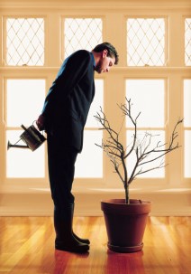 Man Watering a Plant