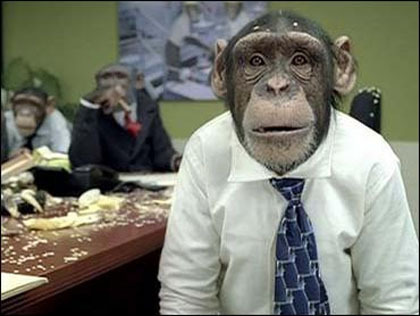 careerbuilder_chimpanzees_2006_1223