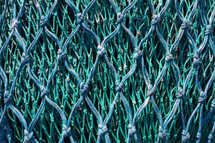 reuben-hustler-653368-unsplash