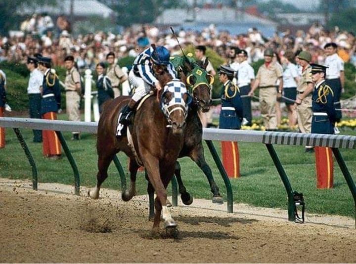 Secretariat &amp; Sham
